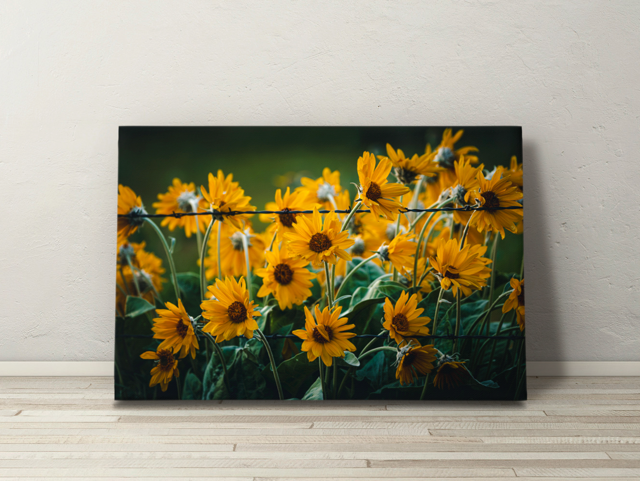 Canvas wall art of “Wild, Not Wild,” showing vibrant wildflowers entangled in barbed wire. Botanical art with emotional and visual depth.