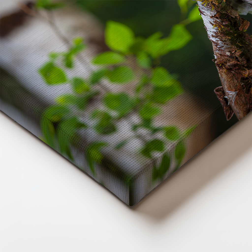 Close-up of canvas edge showing fine detail of owl feathers and birch bark