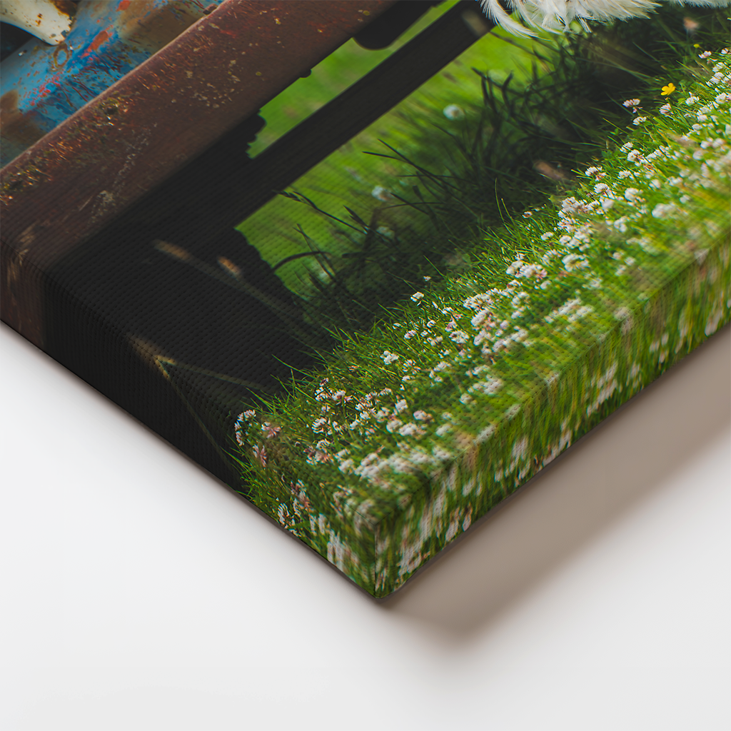 Close-up of canvas edge from “Farm Days,” highlighting the rooster's feathers and field texture.