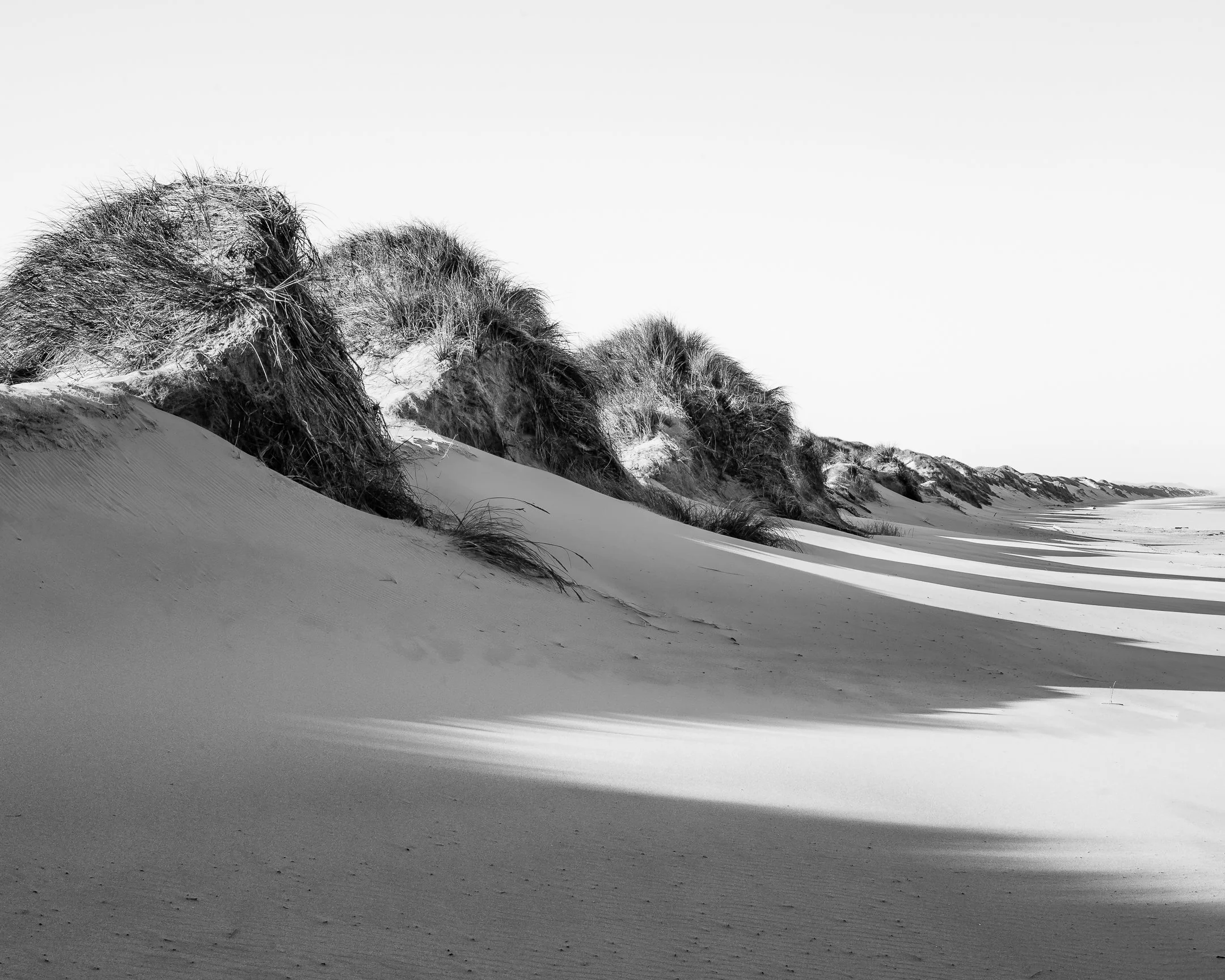 Oregon Dunes