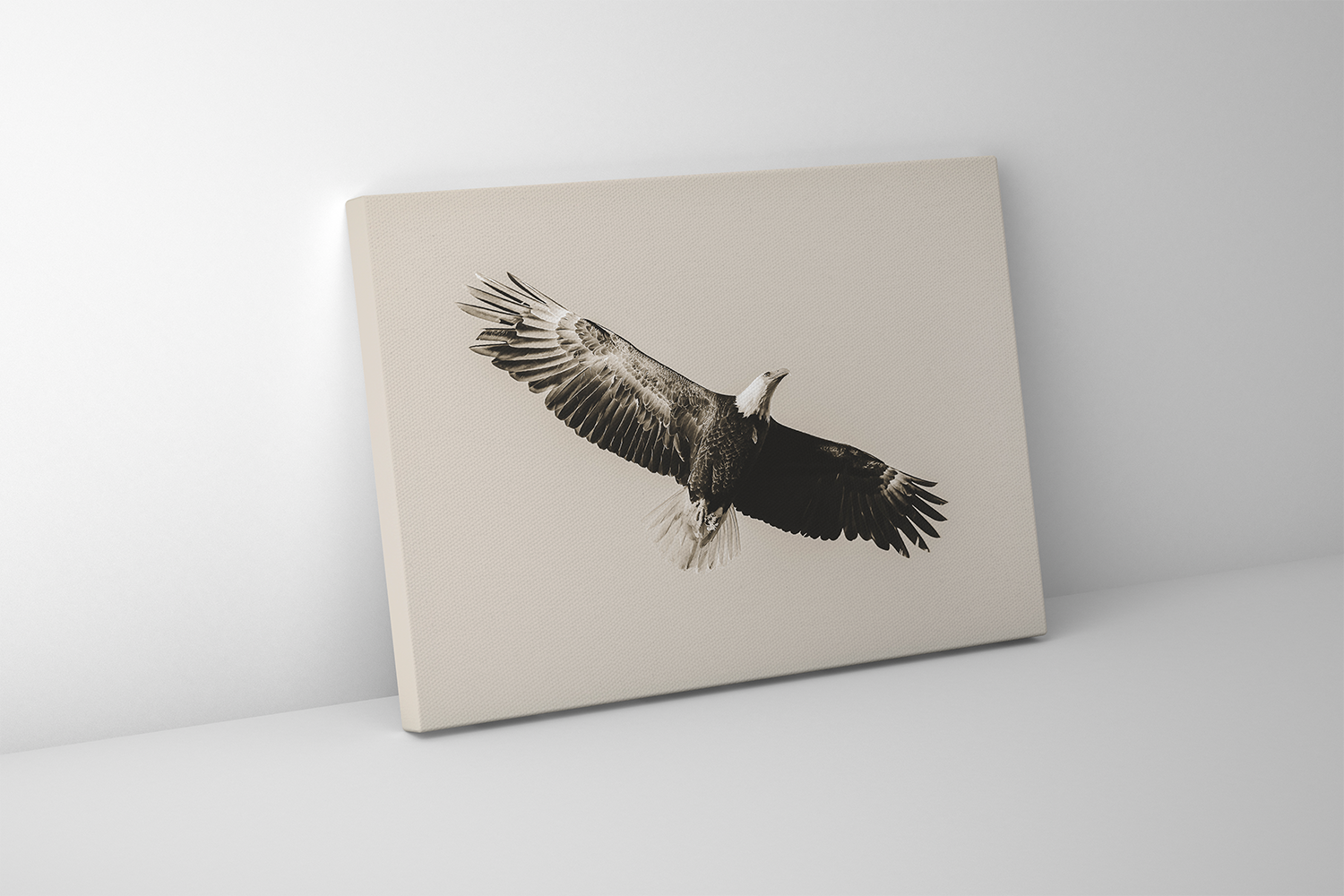Gallery-wrapped canvas print of a soaring bald eagle, wings stretched across an open sky.