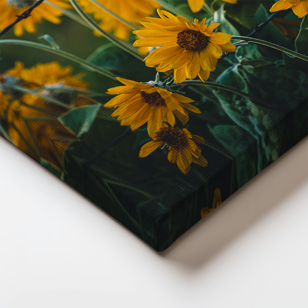 Close-up of canvas edge from “Wild, Not Wild,” showing detailed wildflower petals and barbed wire. Fine art with natural and industrial contrast.