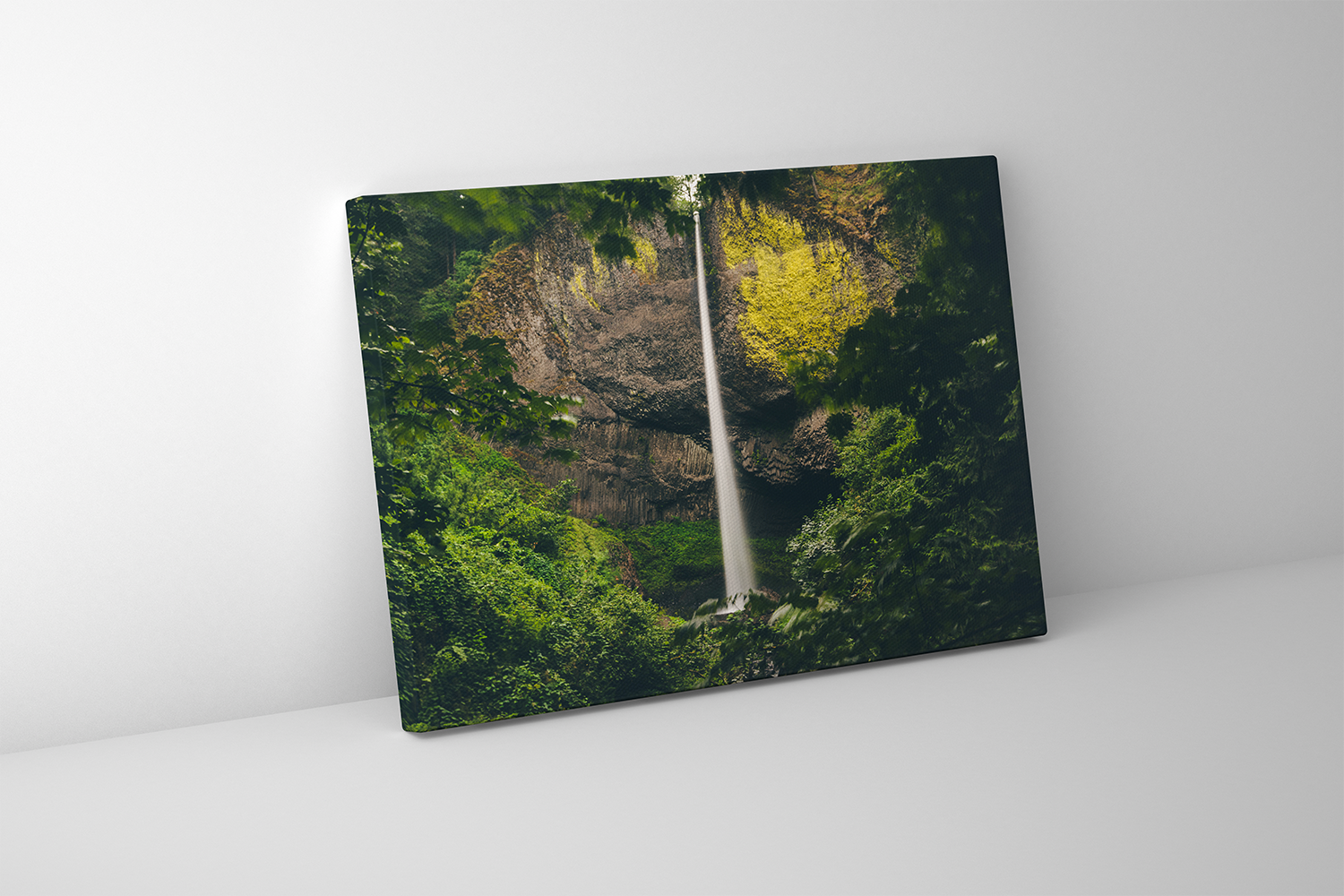 Canvas view of Latourell Falls cutting through Oregon forest, water pouring straight down in a smooth vertical stream.