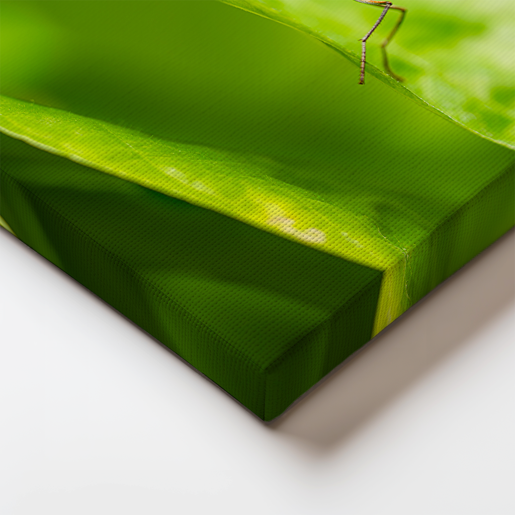 Detail view of the canvas wrap edge featuring the green and brown textures of the butterfly image.