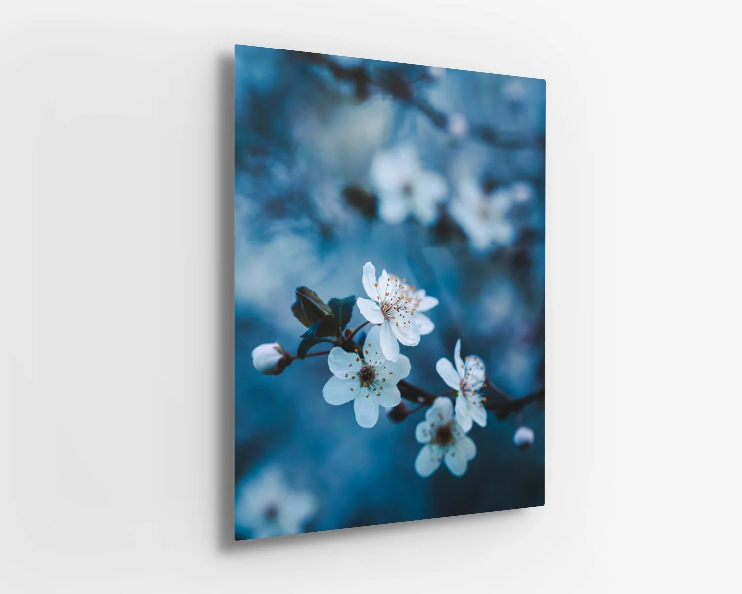 Plum Blossoms II