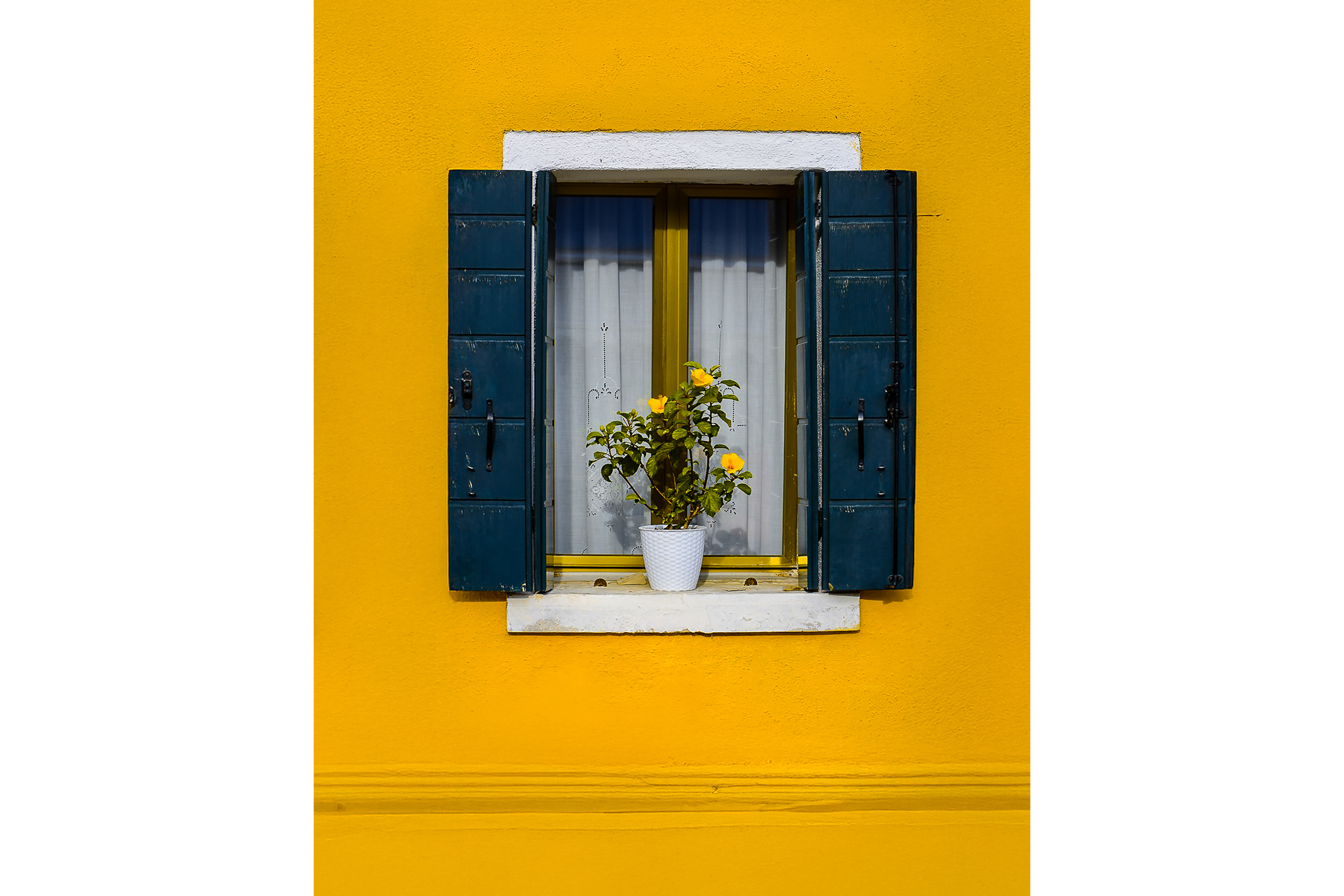 Bright yellow Venetian window with blue shutters and a white potted plant, photographed in natural light.