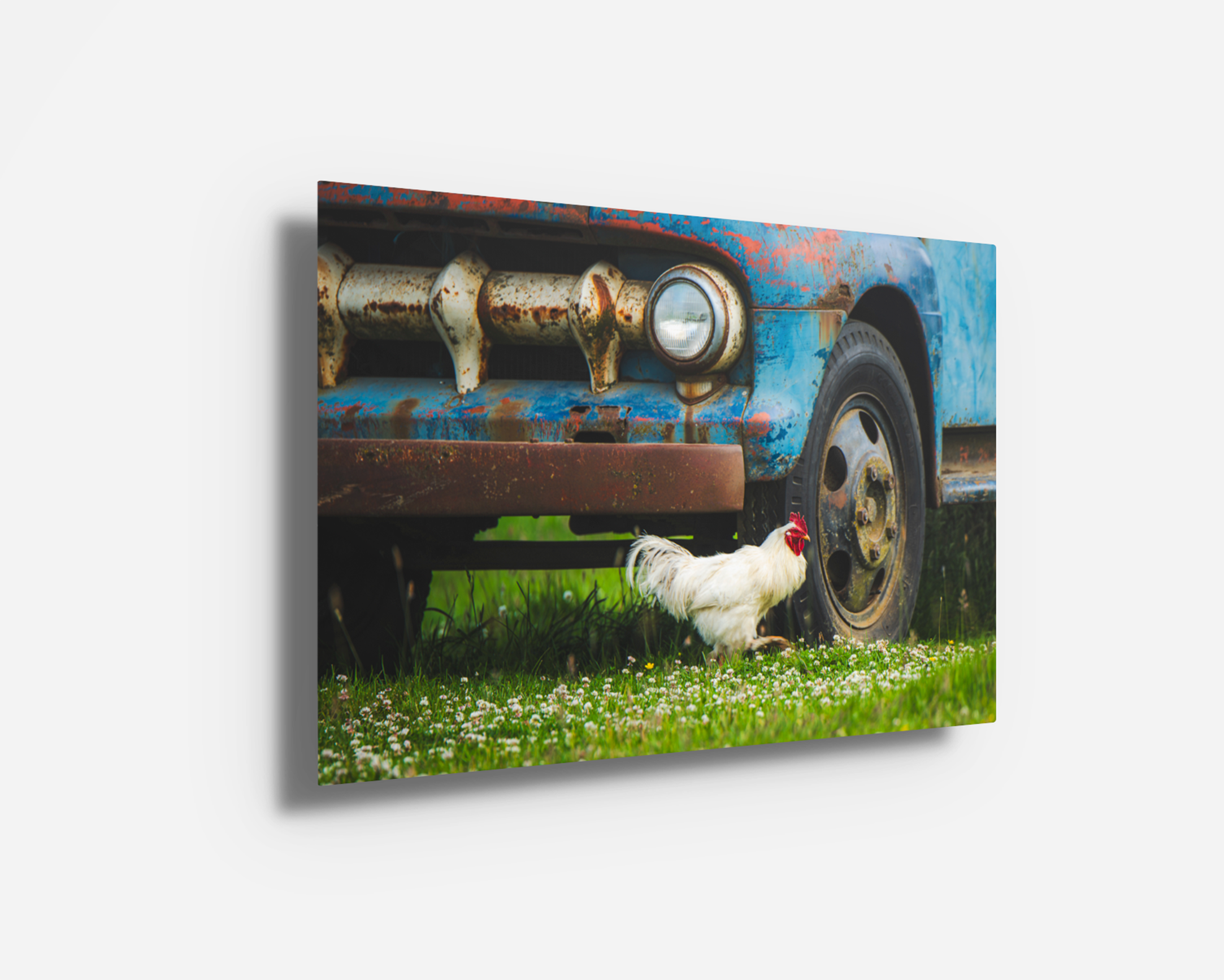 Metal print of “Farm Days” with a glossy surface showing rich color and rustic contrast.