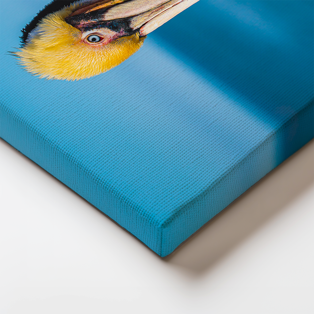 Canvas edge detail showing the wrap of the pelican's feathers and rich ocean blues.