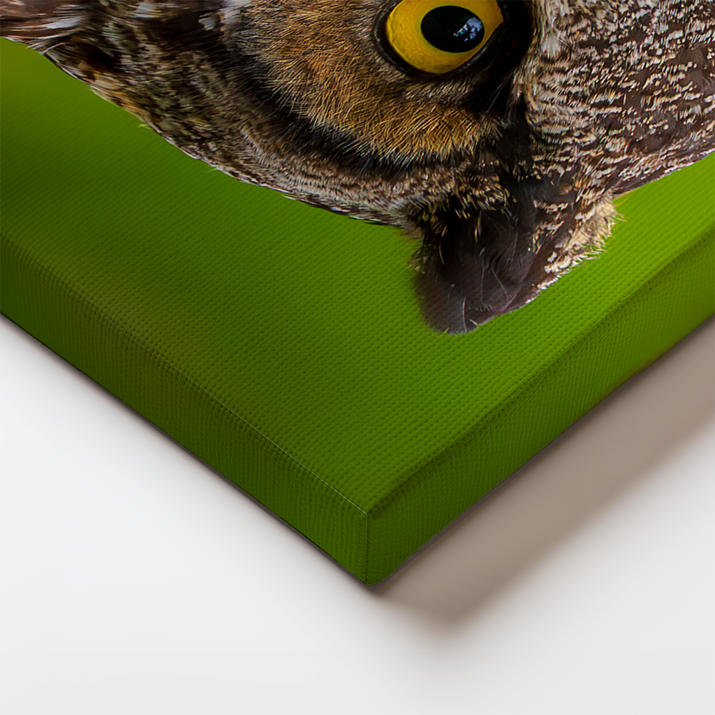 Edge detail of the wrapped canvas featuring the Great Horned Owl, showing the image continuation around the sides.