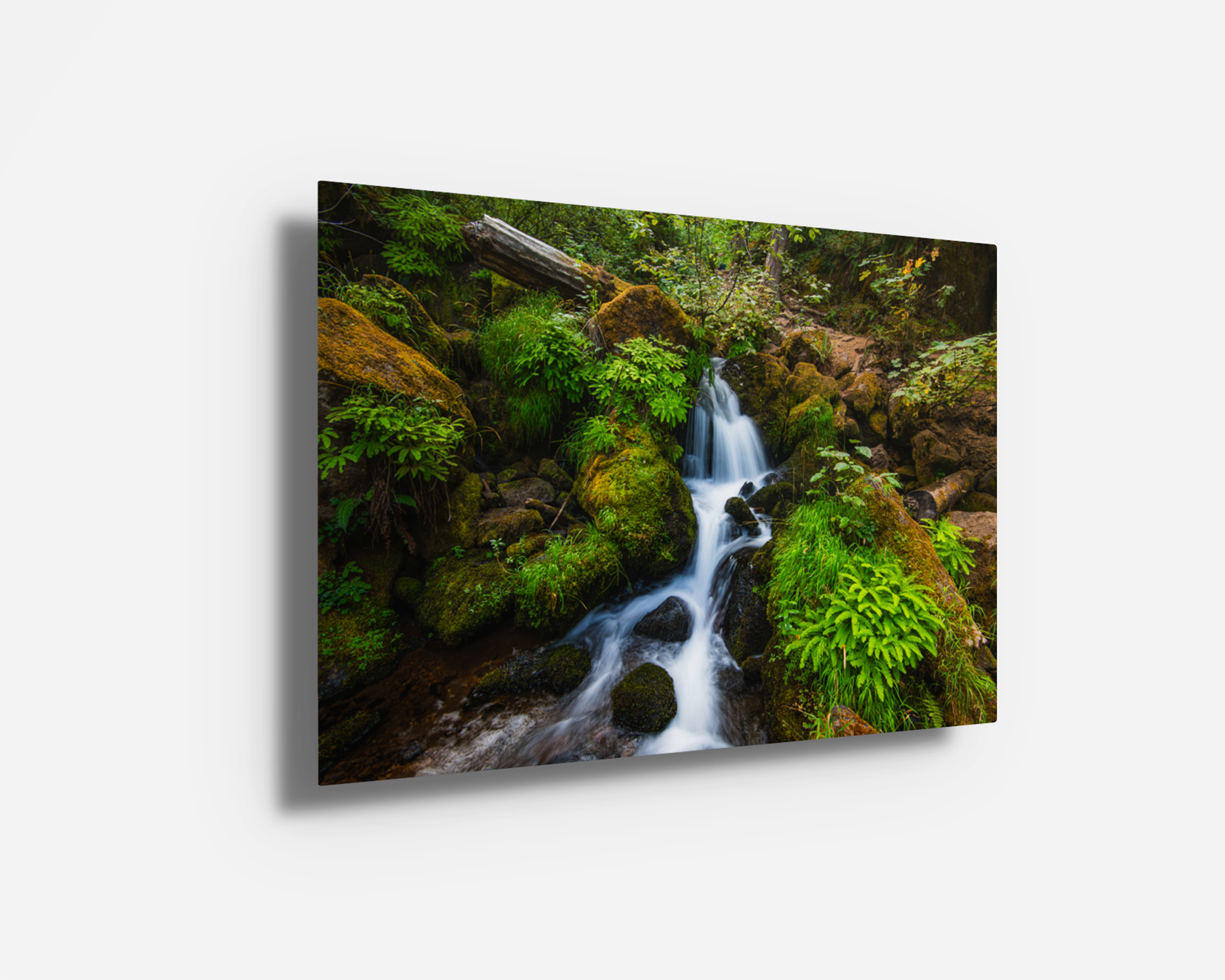 Metal print featuring vibrant greens and flowing water of a woodland stream beneath Watson Falls.