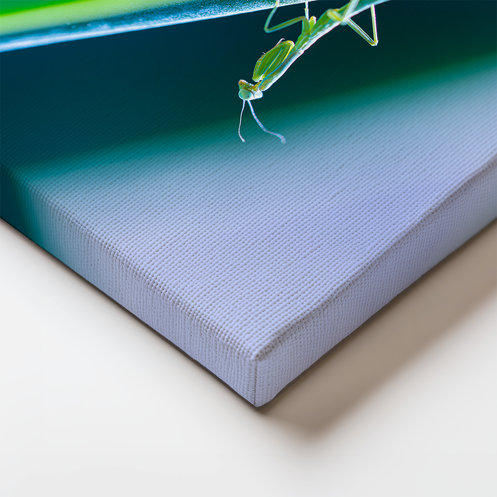 Canvas edge detail showing the mantis on bold diagonal lines of agave in crisp green and blue hues.