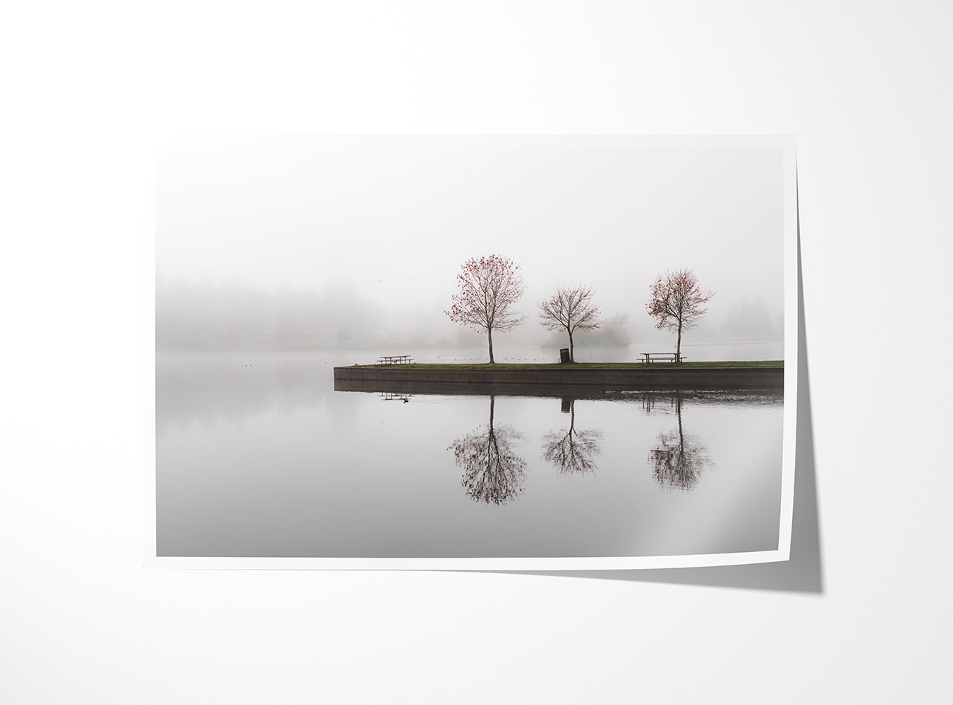 Fine art print of “Selmac” featuring foggy reflections at Selmac Lake in Oregon. Peaceful minimalist wall art for home or office.