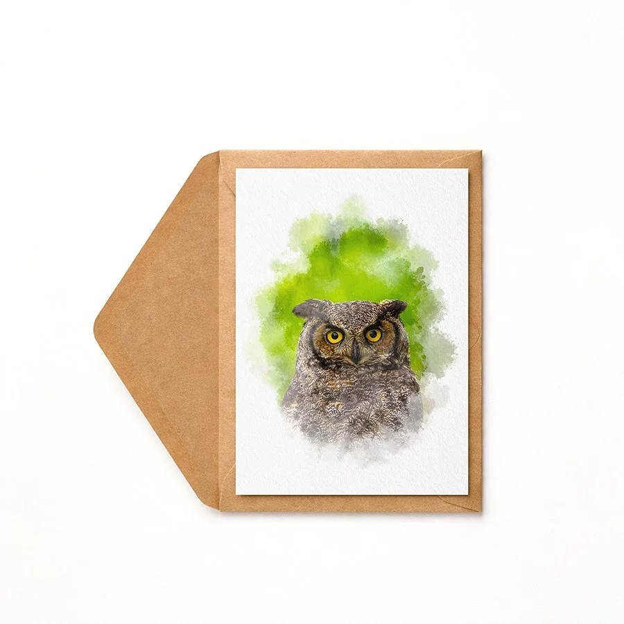 Great Horned Owl.jpg
