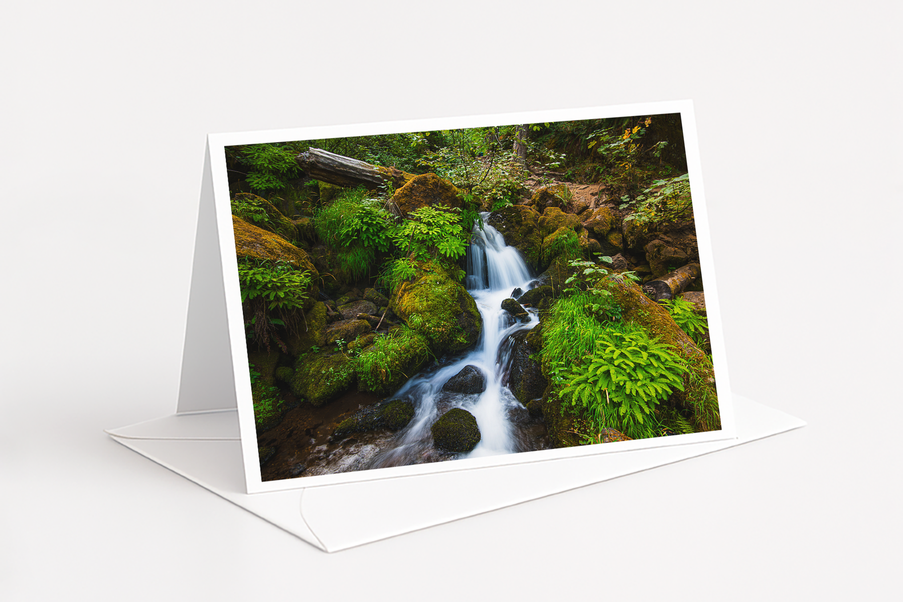 fernfall-greeting-card