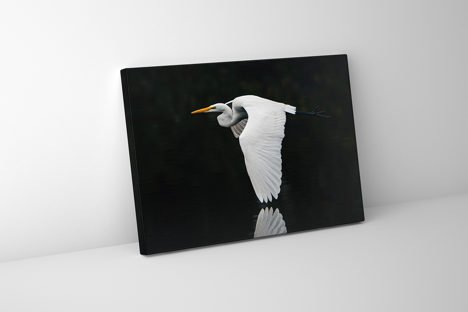 Gallery-wrapped canvas showing a great egret soaring just above a dark, glassy river—its reflection elegantly trailing below.