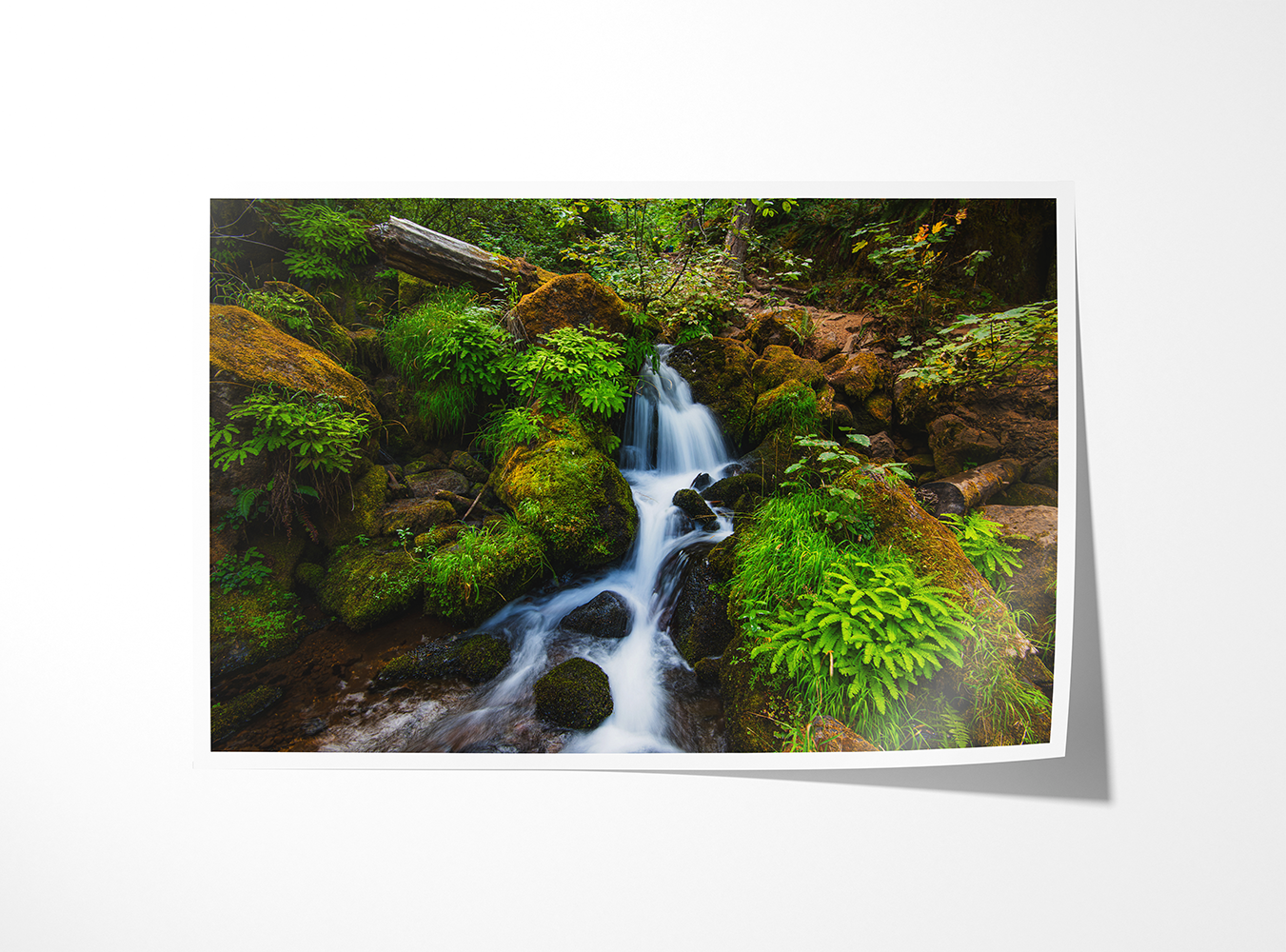 Archival print of a forest creek cascading over mossy stones in vibrant green, captured near Watson Falls.