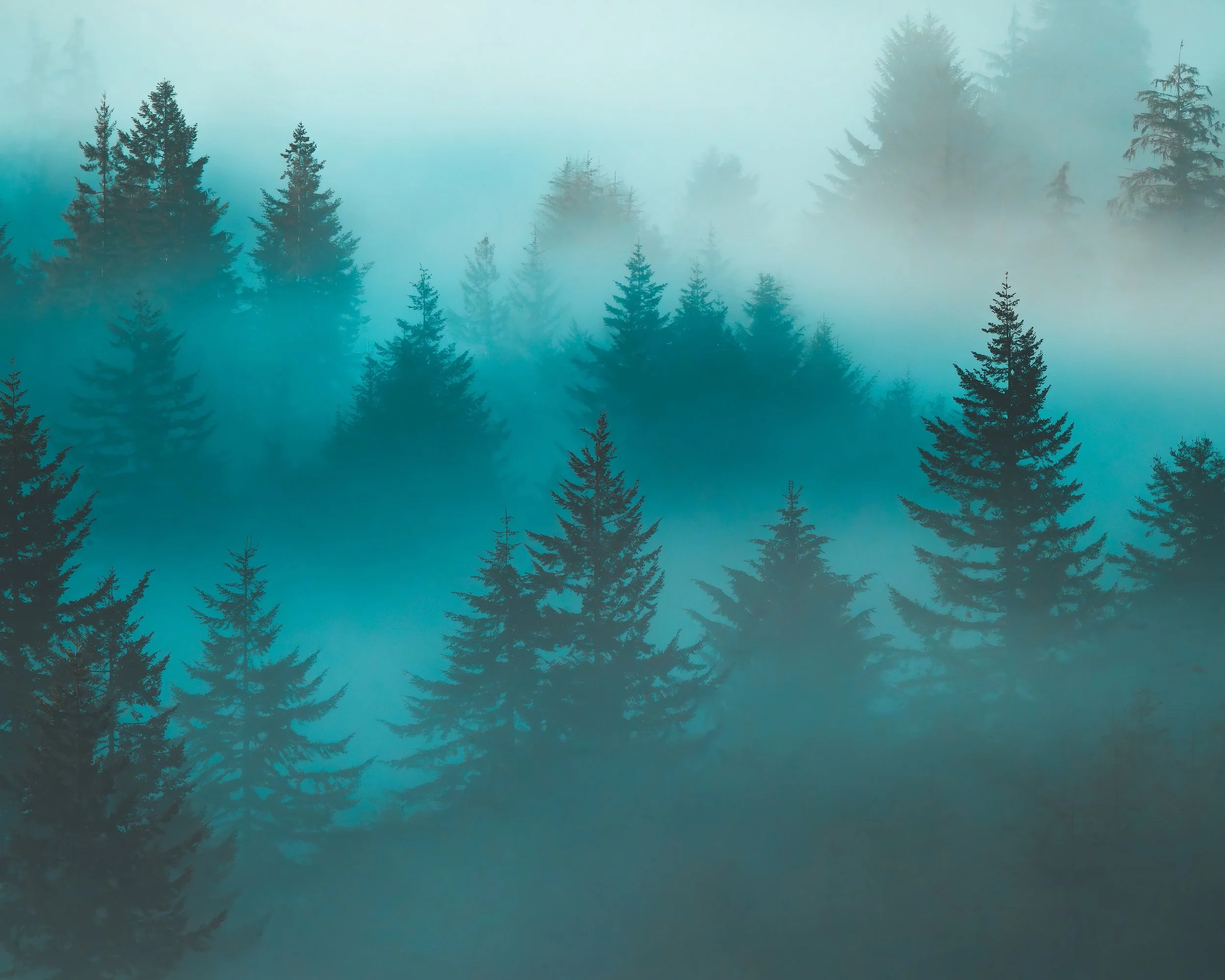 Emerald Veil
