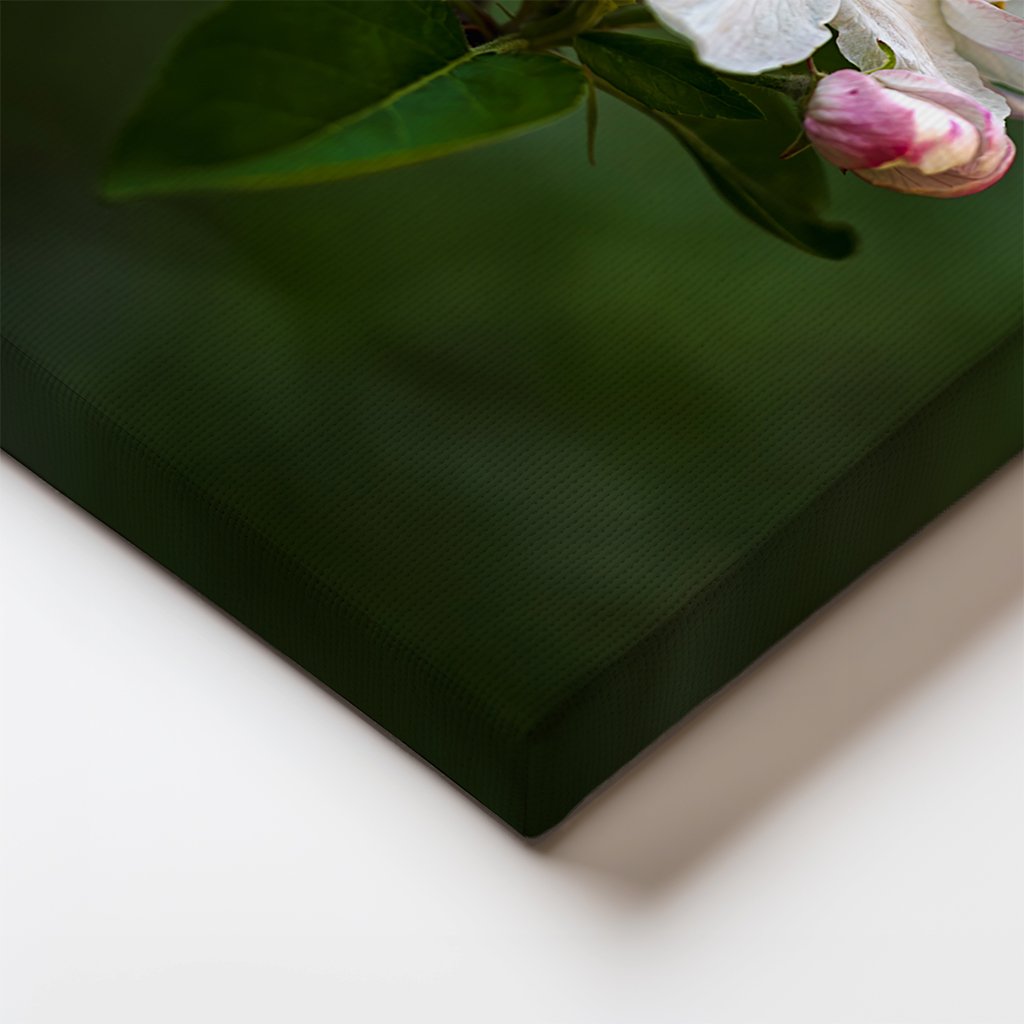 Apple Blossoms II Canvas Edge.jpg