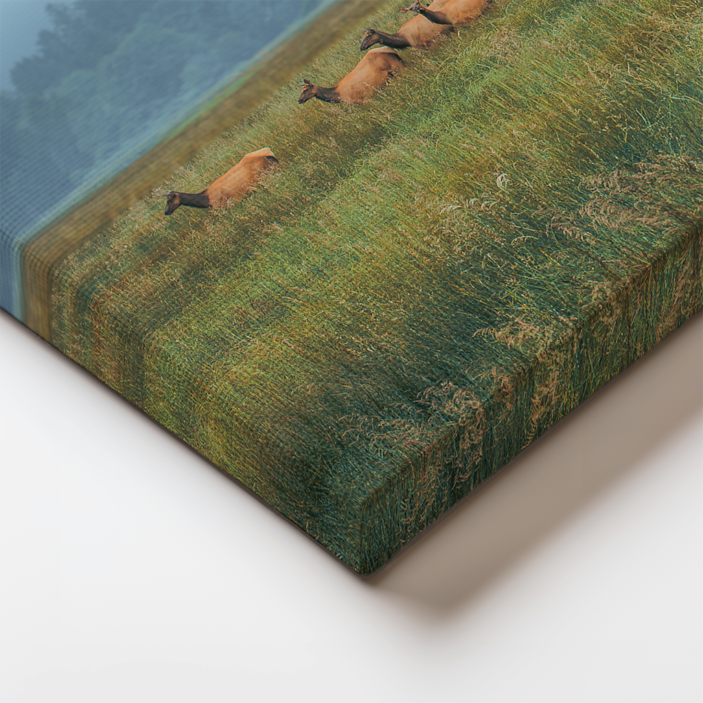 Detail of canvas wrap edge showing elk standing in tall field grasses against distant forest haze.