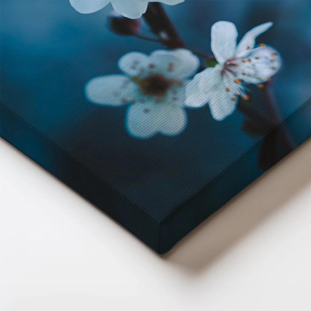 Canvas edge detail showing smooth gradients and soft-focus plum blossom textures wrapping around the frame.