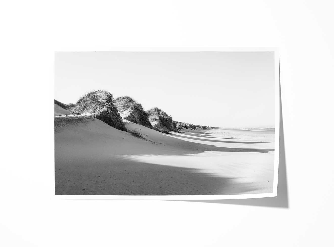 Archival print of Oregon Dunes in monochrome, capturing the fine textures of sand and light across the rolling coastal landscape.