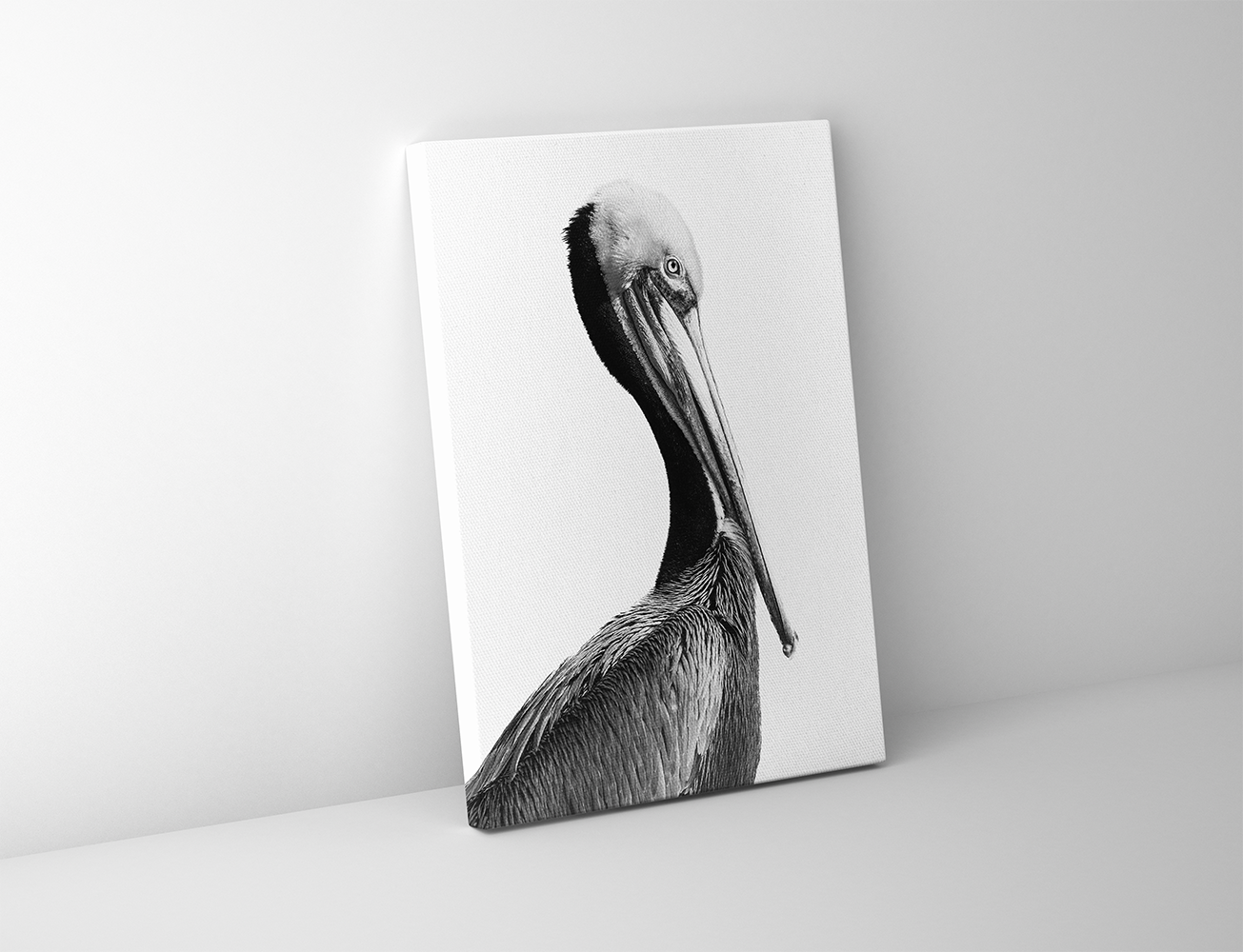 Gallery-wrapped canvas of a profile portrait of a California Brown Pelican in elegant black and white.