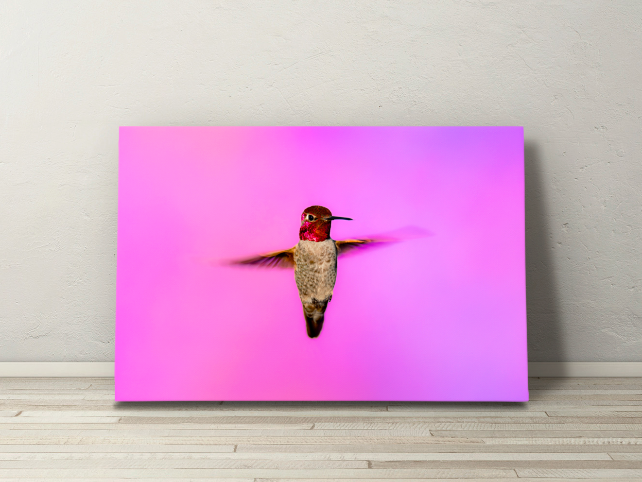 Canvas print of a detailed hummingbird in flight, its shimmering feathers contrasting with a surreal magenta backdrop.