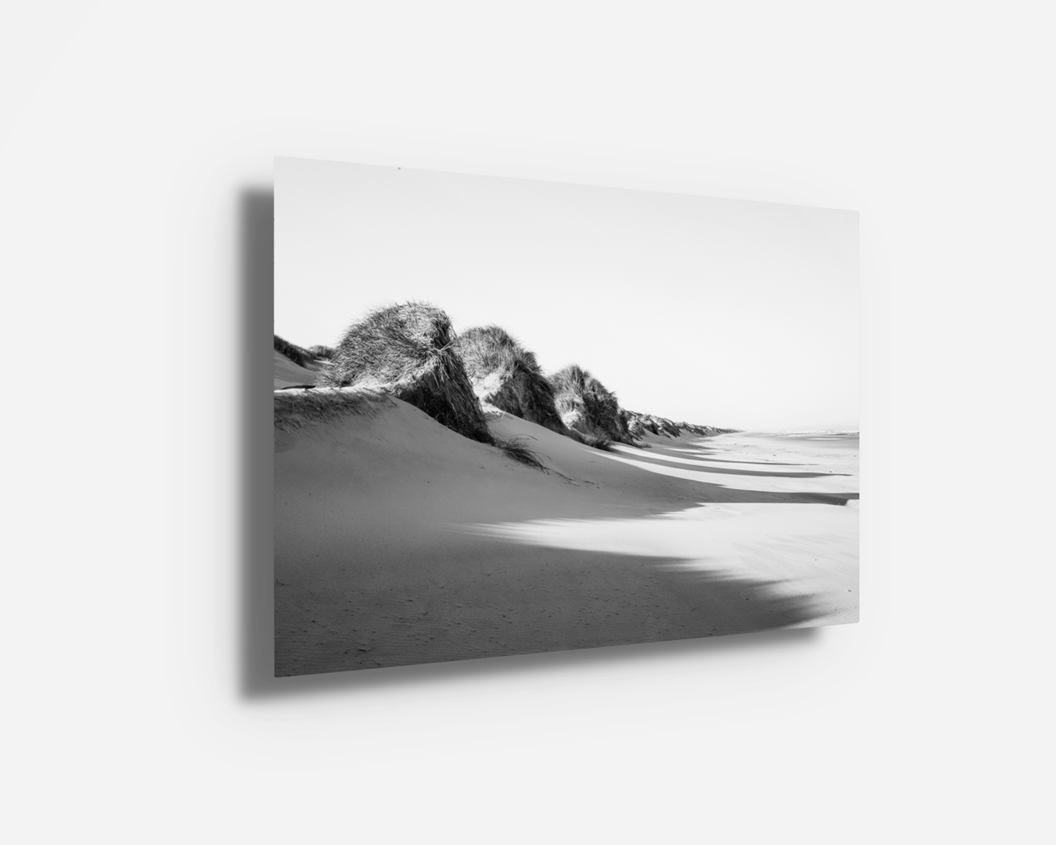 Metal print of “Oregon Dunes” in black and white, offering a sleek, modern finish with enhanced depth and detail.