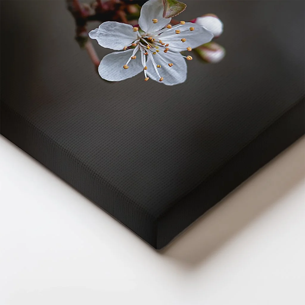 Plum Blossoms Canvas Edge.jpg