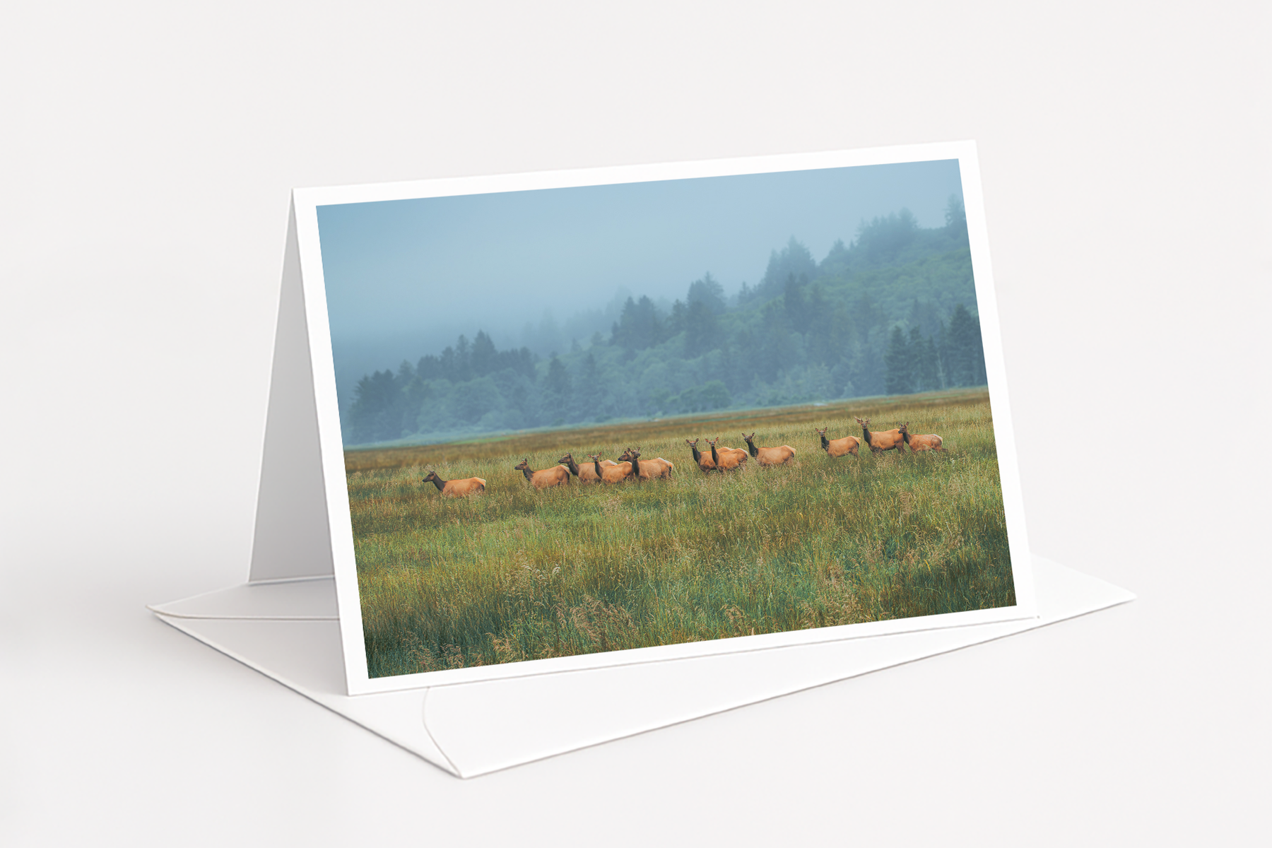 Cascadia Elk Greeting Card.png