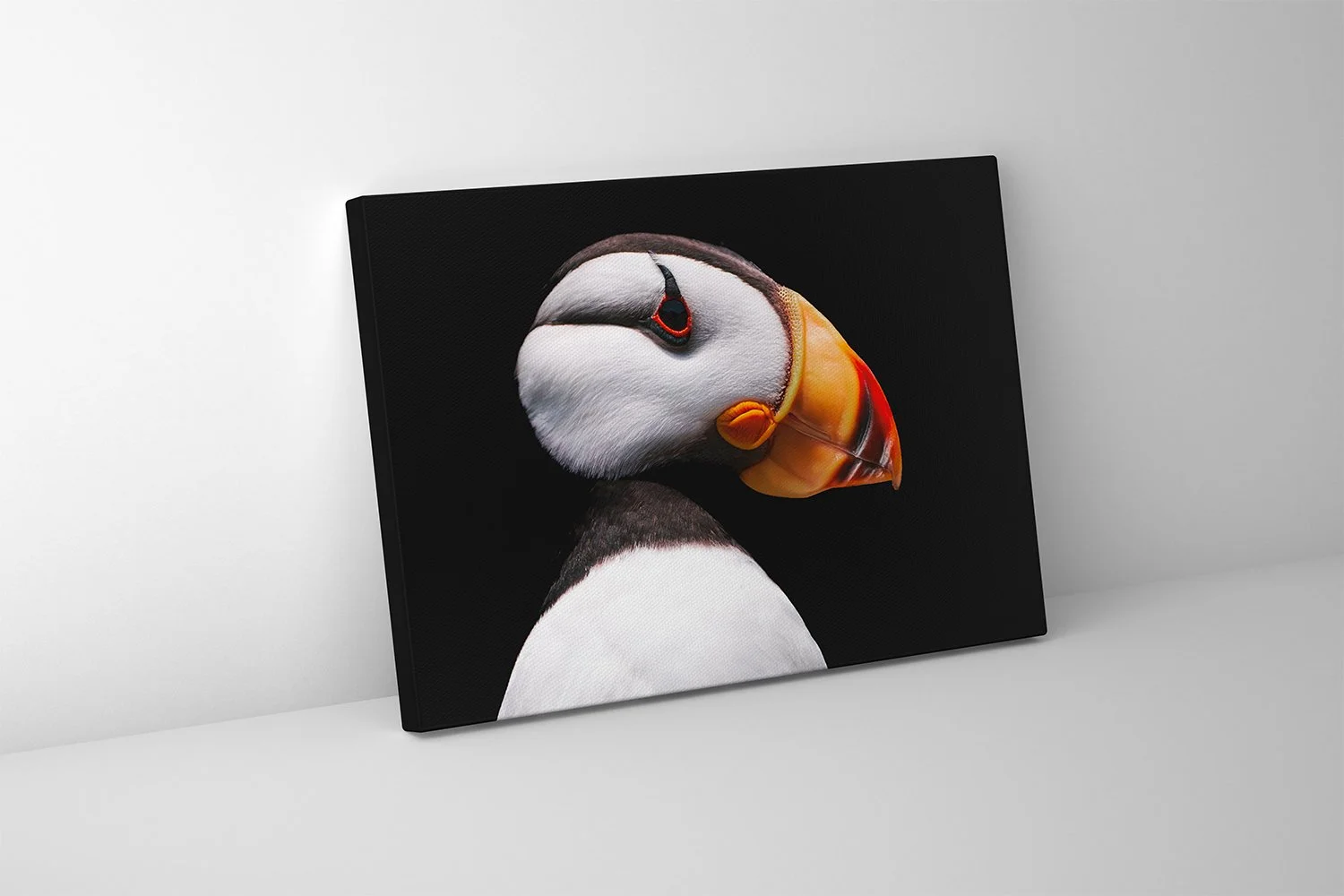 Puffin