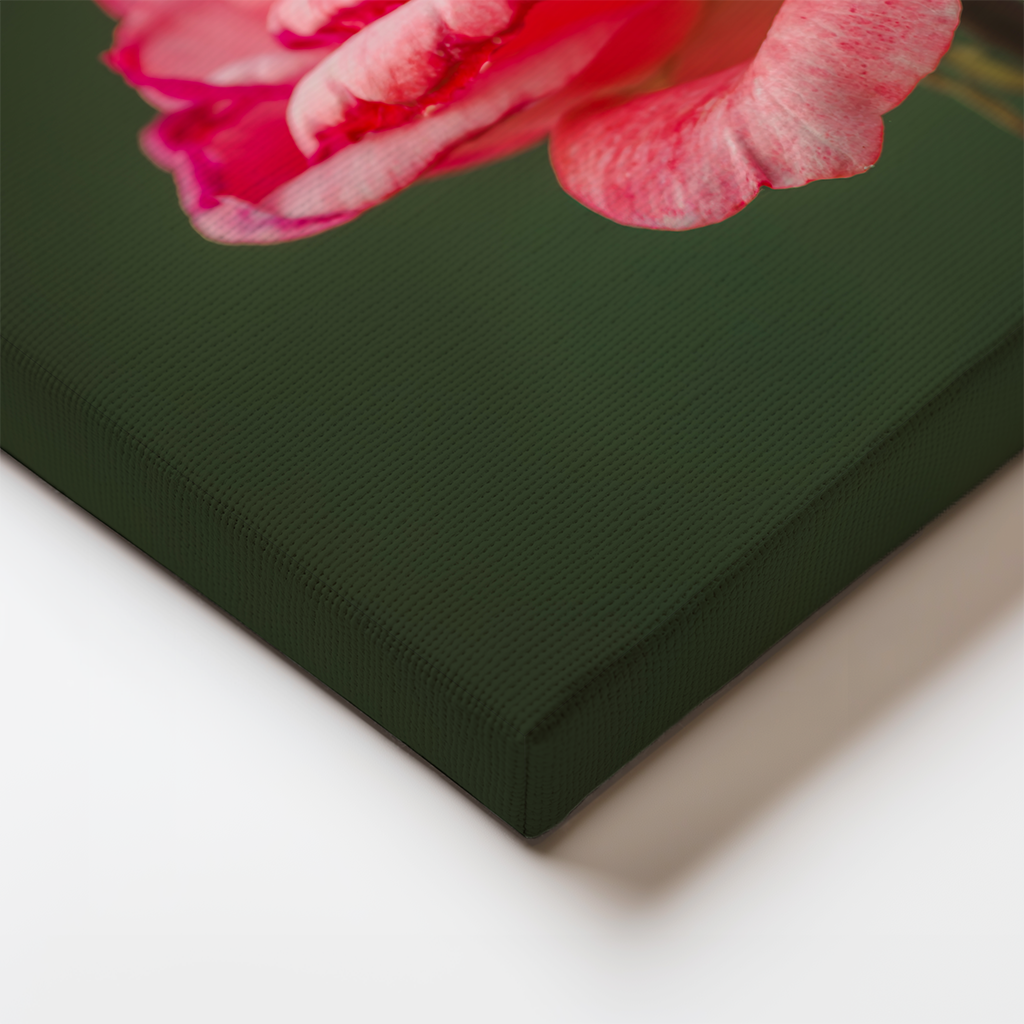 Canvas edge detail showing the image wrapping around the sides of the stretched canvas print.