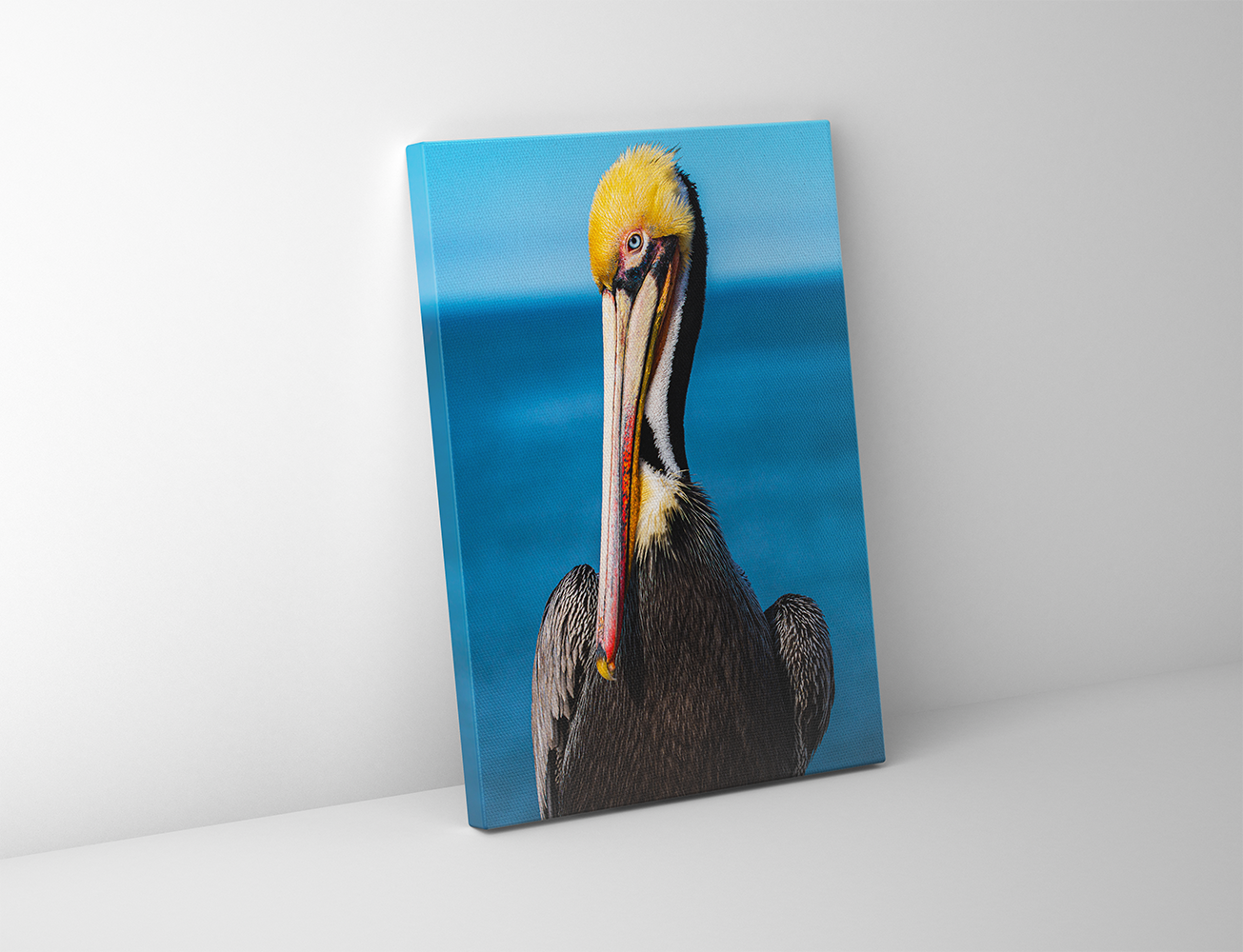 Gallery-wrapped canvas of a colorful brown pelican staring intently with the Pacific Ocean behind.