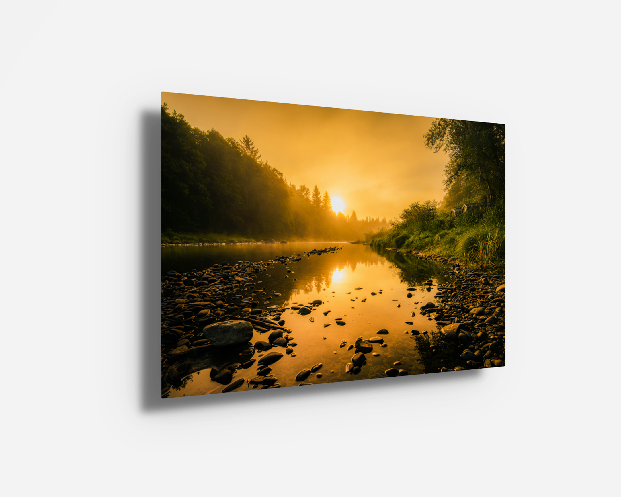 Glossy metal print featuring sunrise light and rich reflections on the Bogachiel River in Washington.