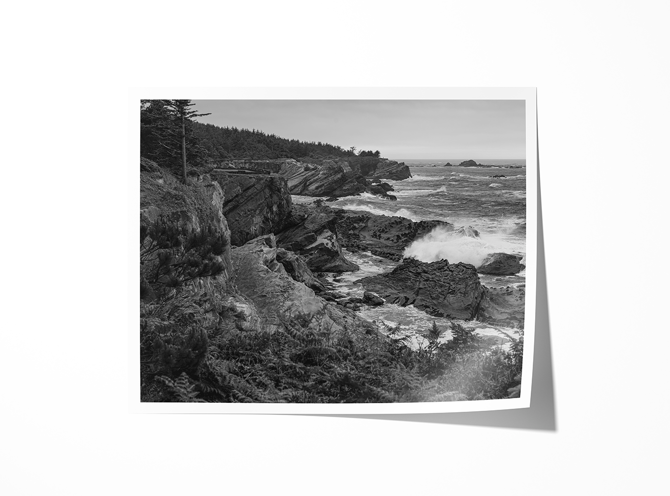 Fine art print of monochrome ocean cliffs and rocky shoreline from Shore Acres on the Oregon Coast.