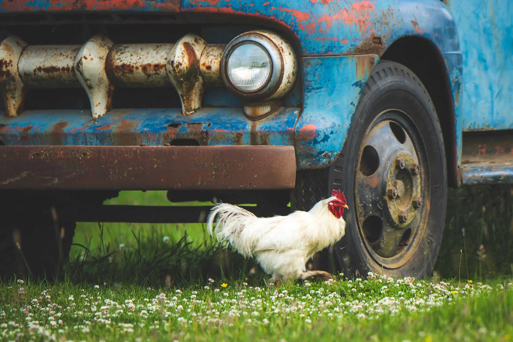 Farm Days
