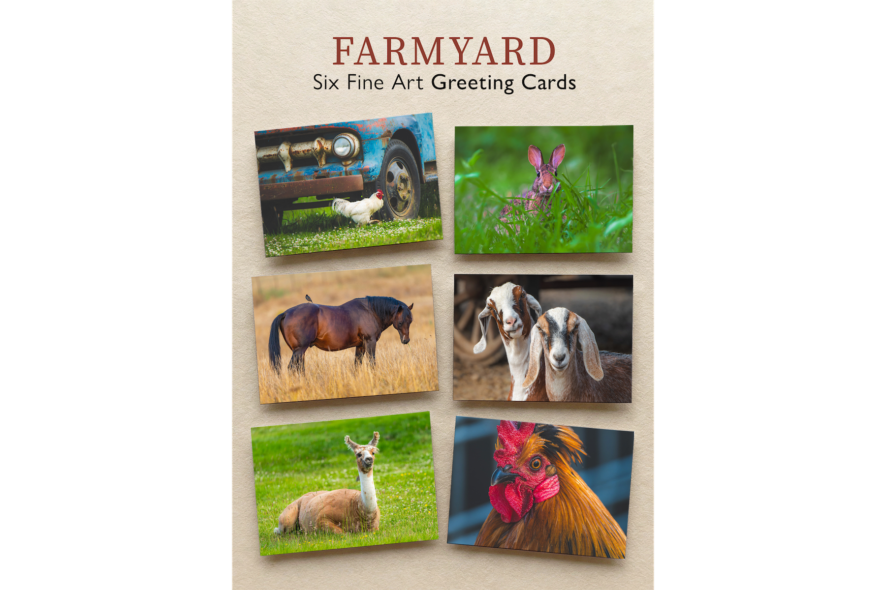 Farmyard