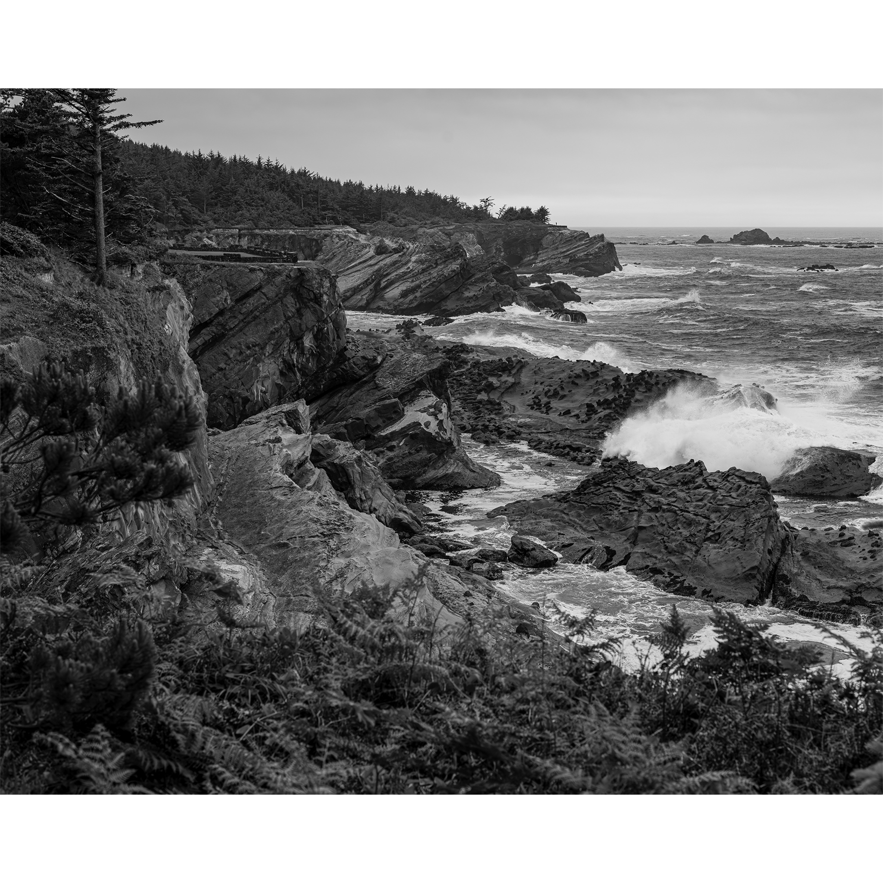 shore acres cover.png