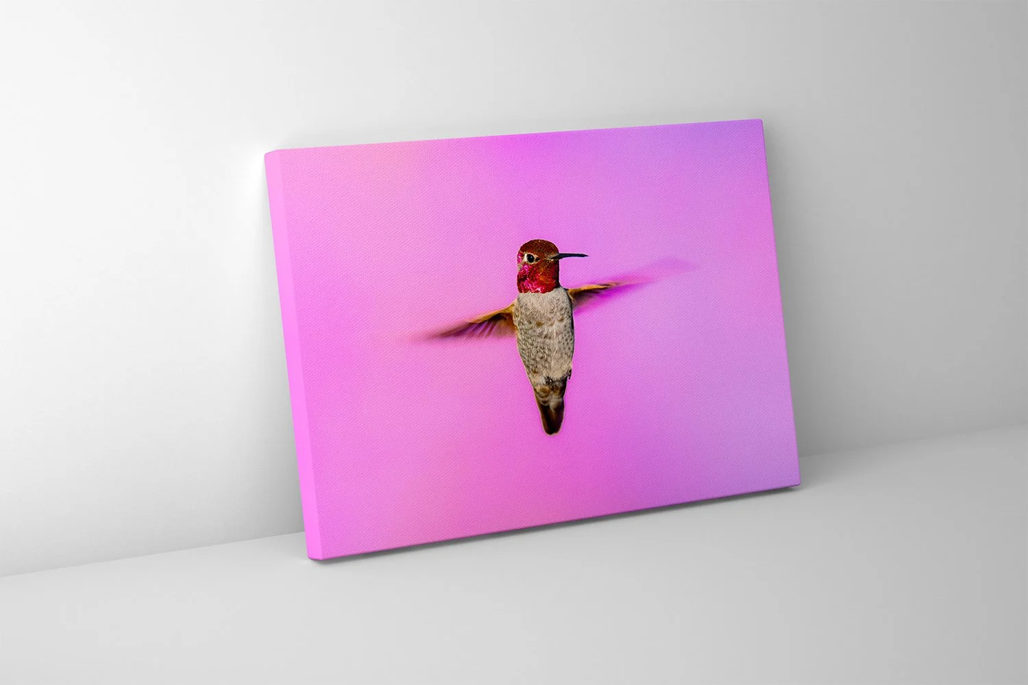 Diva Canvas.jpg
