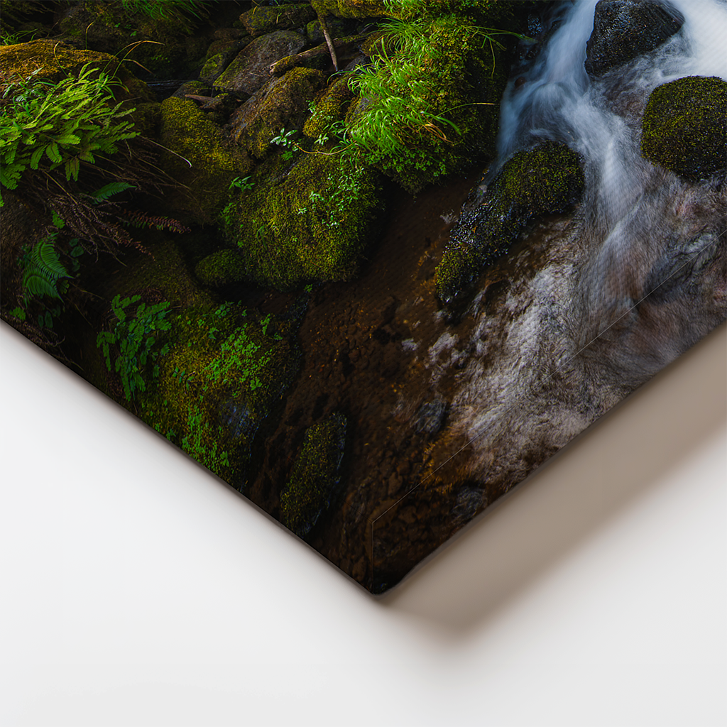 Close-up of wrapped canvas edge showing the vivid textures of moss, water, and foliage in Fernfall.
