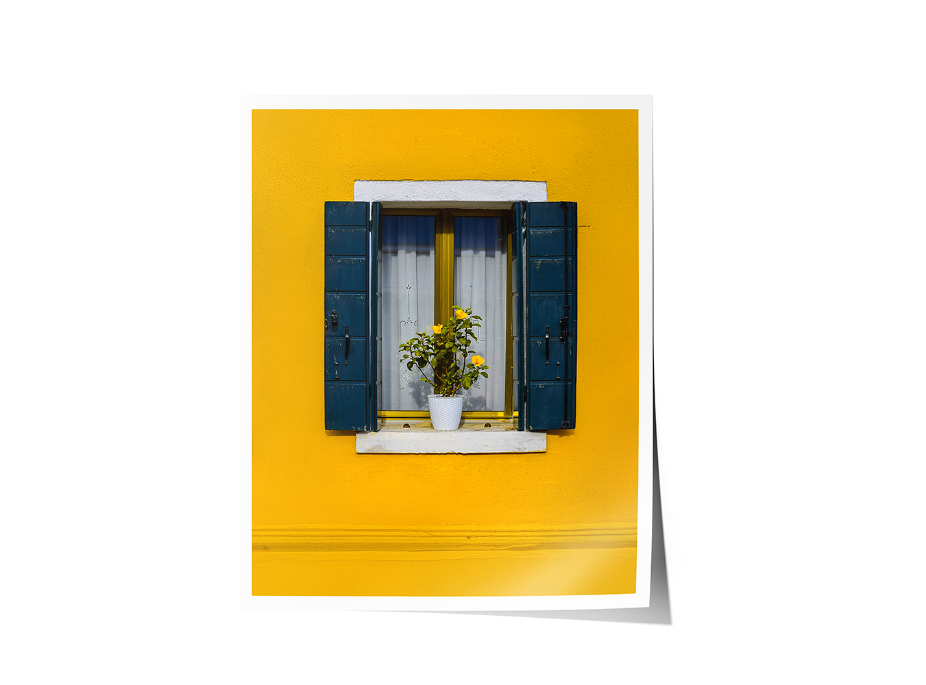 Fine art print of a vibrant yellow wall with a potted plant framed by weathered blue shutters on the Venetian Islands.