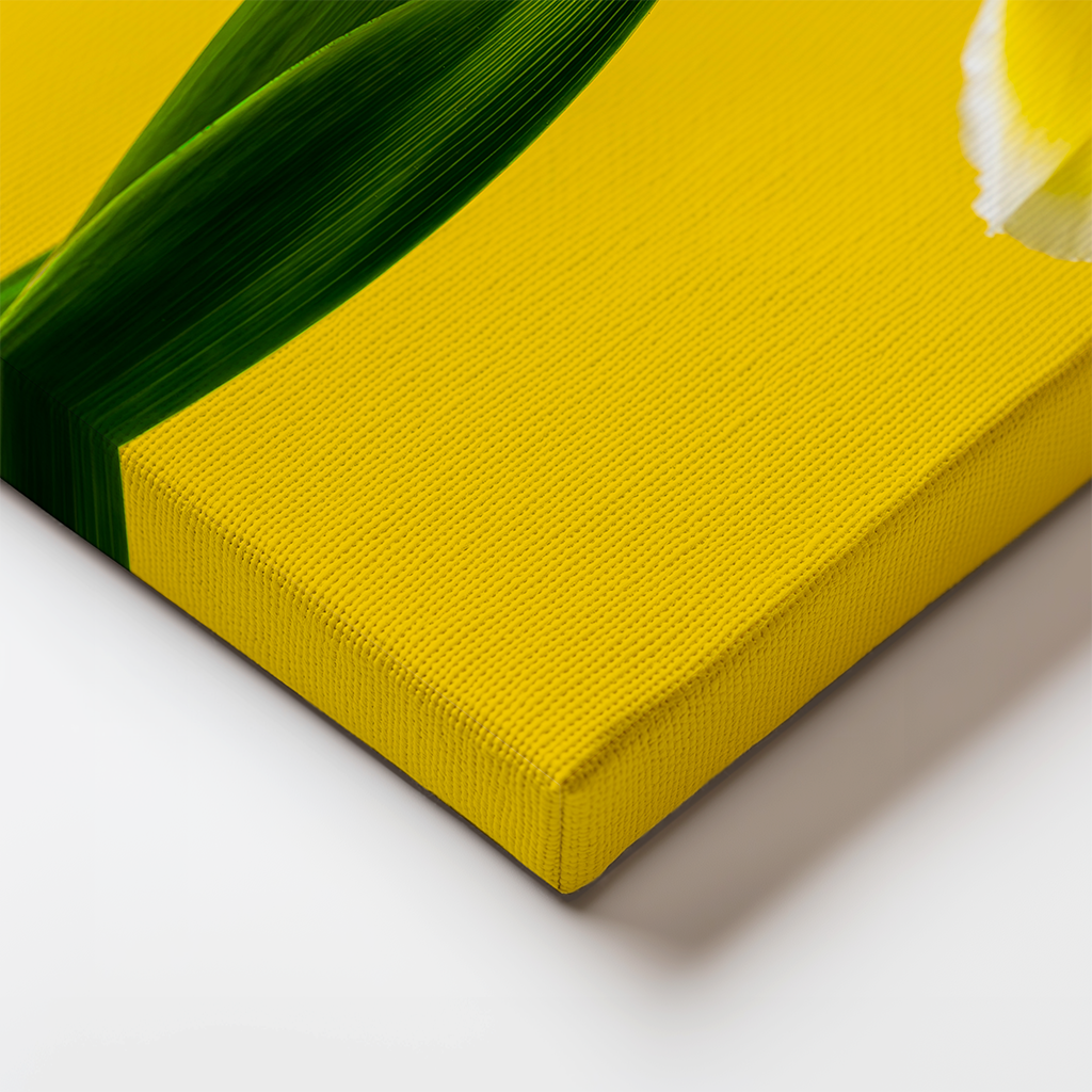 Iris x Wasp Canvas Edge.png