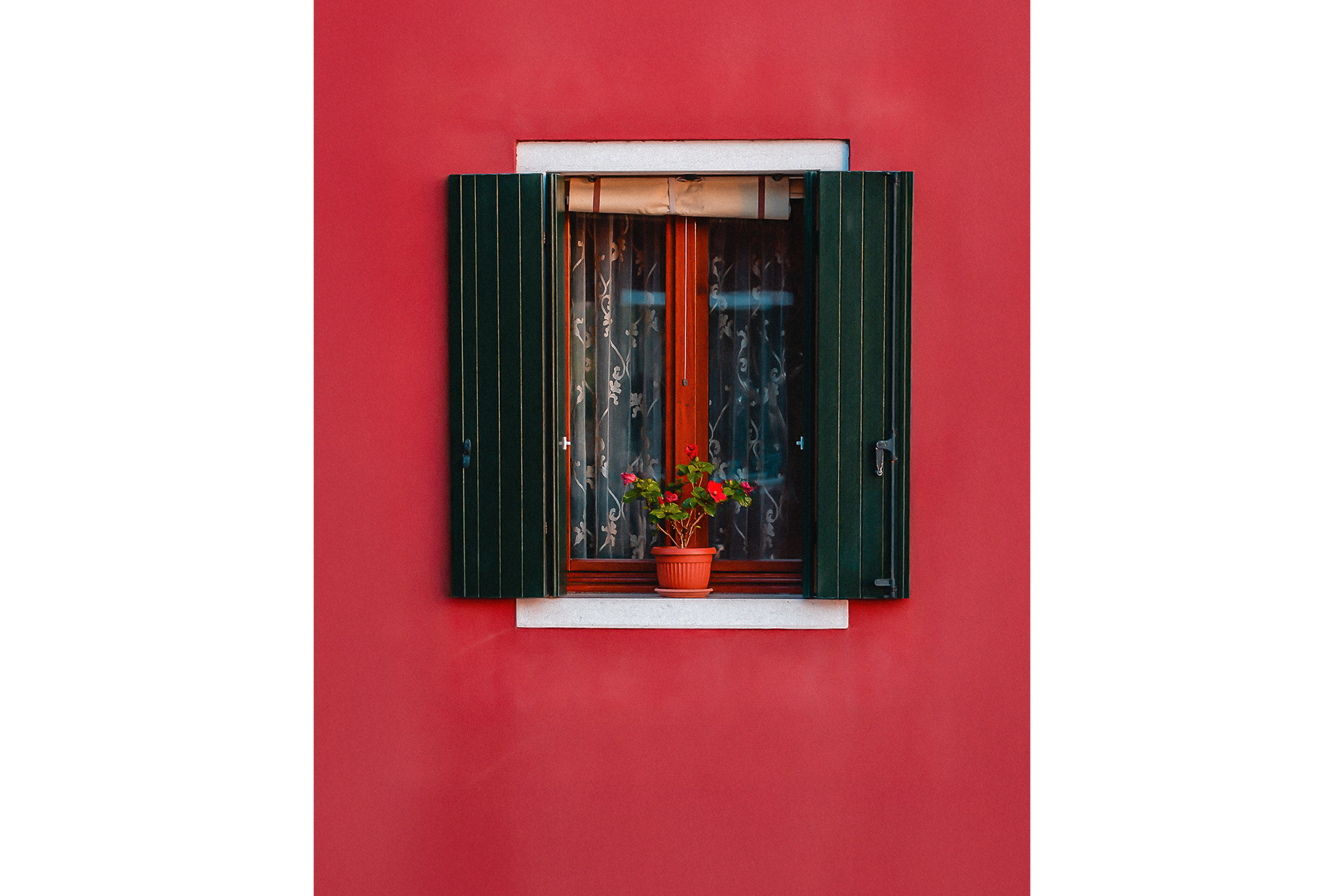 A vibrant red wall with a dark green shuttered window and lace curtain, featuring a potted red flower on the sill.