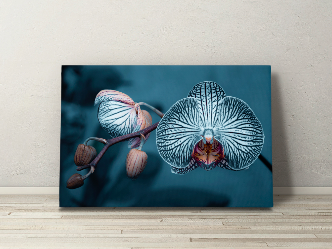 Canvas wall art of “Orchid,” featuring close-up floral textures and contrast-rich lighting. Elegant botanical artwork for home or office.