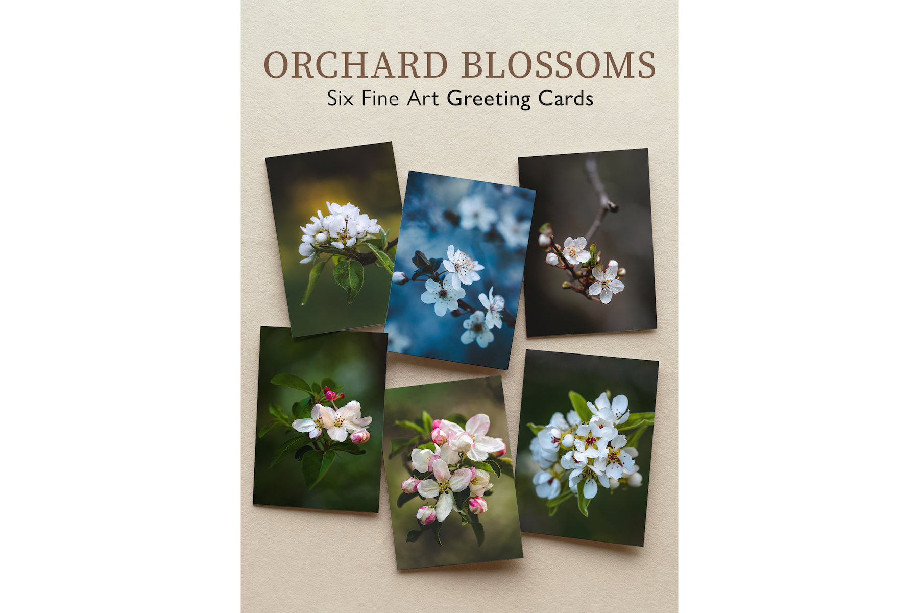 Orchard Blossoms
