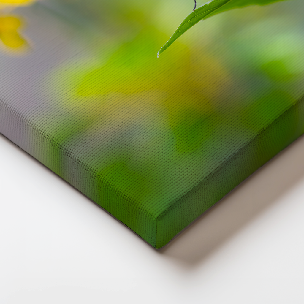 Gallery-wrapped canvas edge featuring detail from the tigerwing butterfly’s perch and leaf texture.