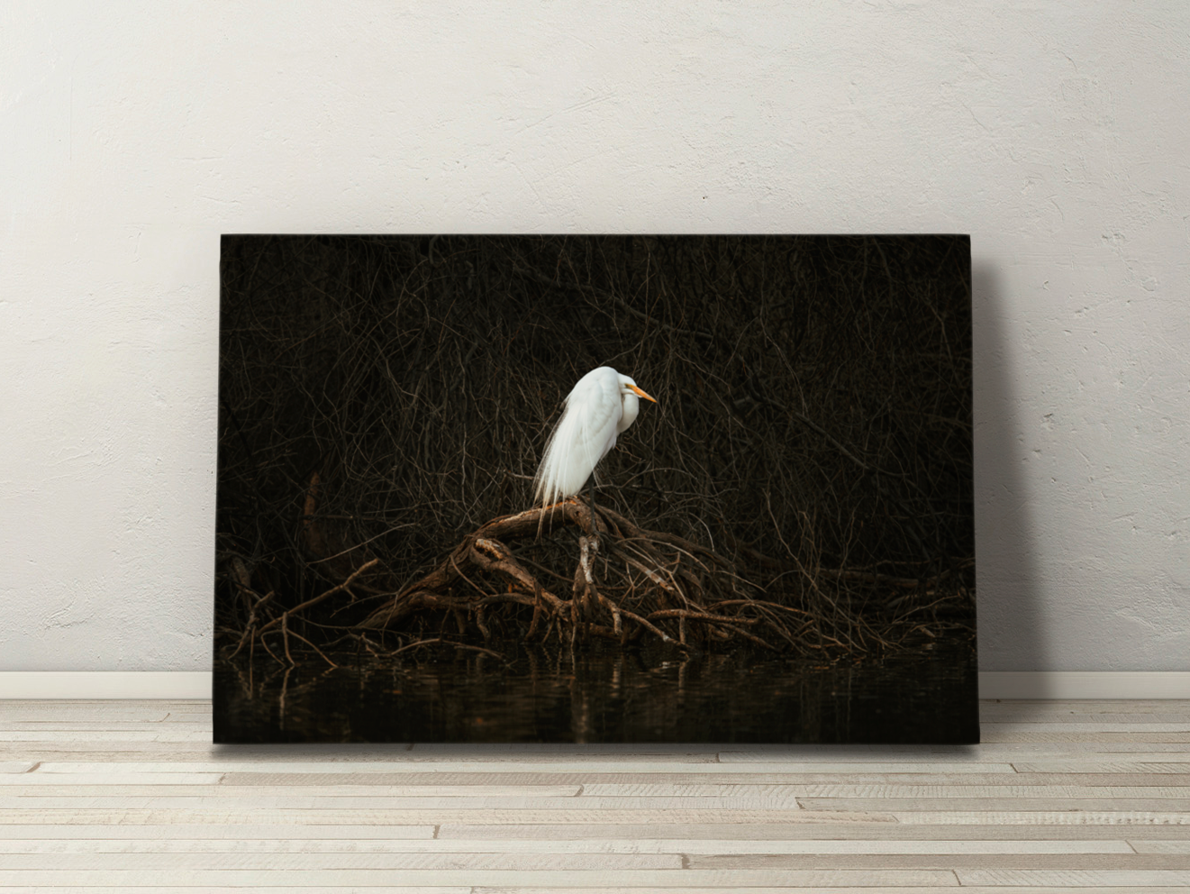 Canvas wall art of “Siren,” a striking photograph of a great egret in repose, set against dark roots and branches. Fine art with moody minimalism.