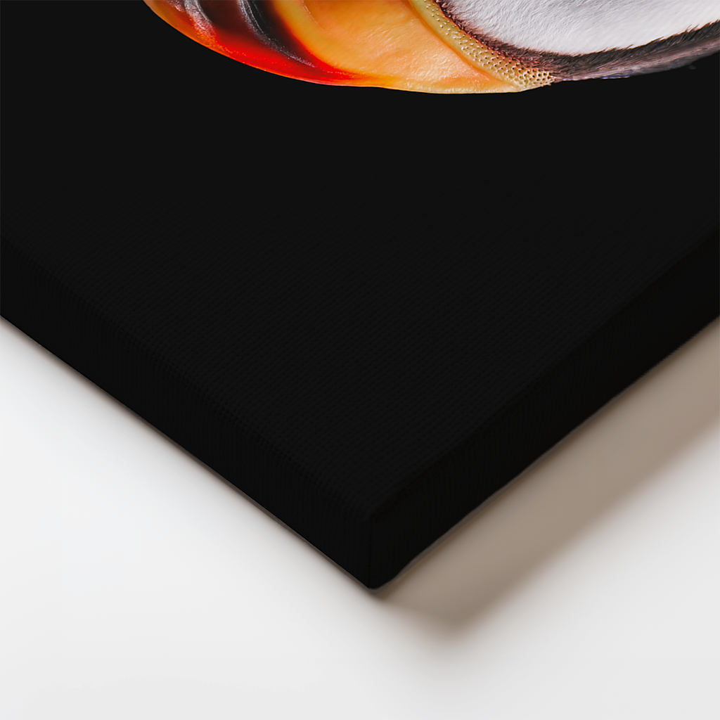 Puffin Profile Canvas Edge.jpg.png