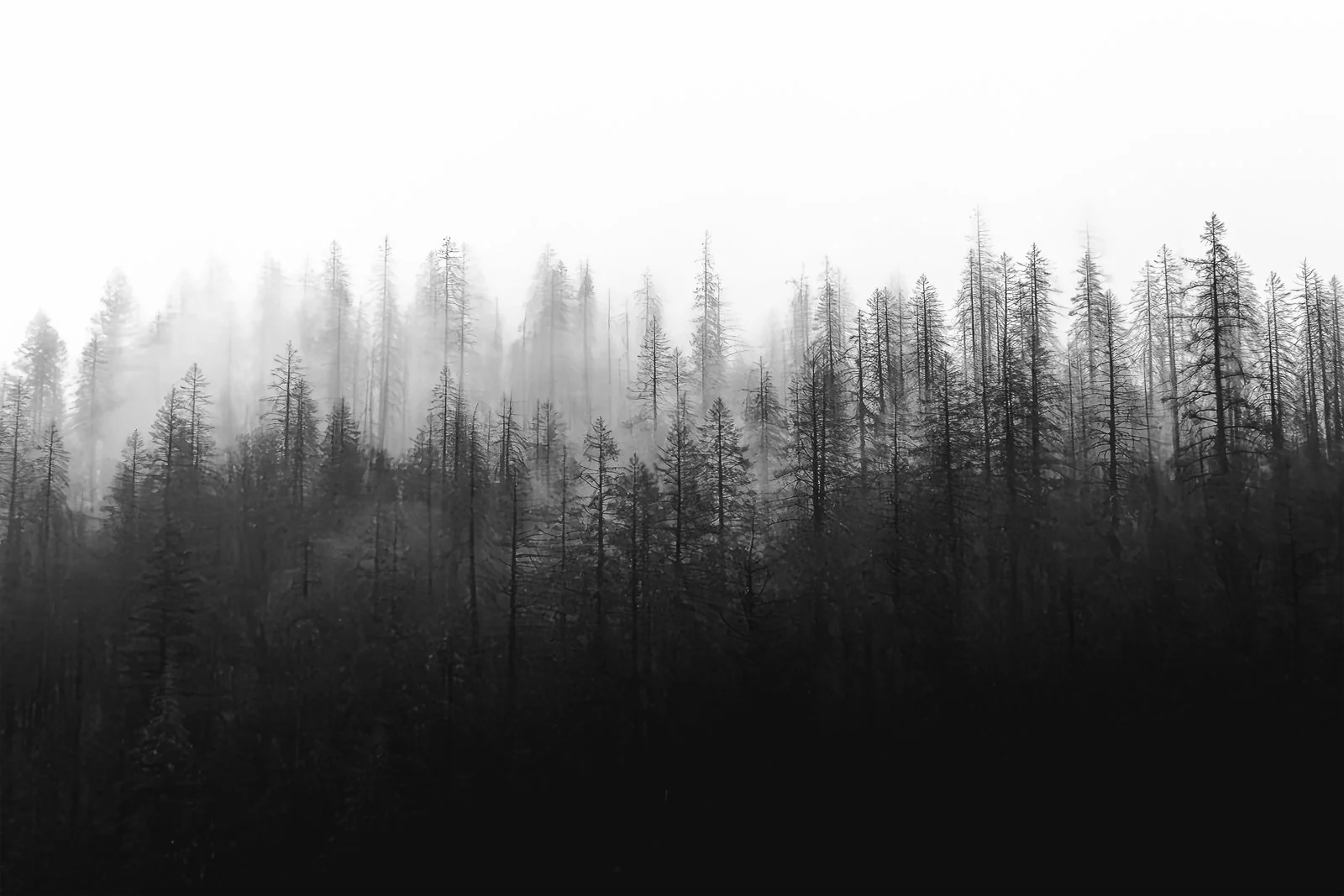 Ashen