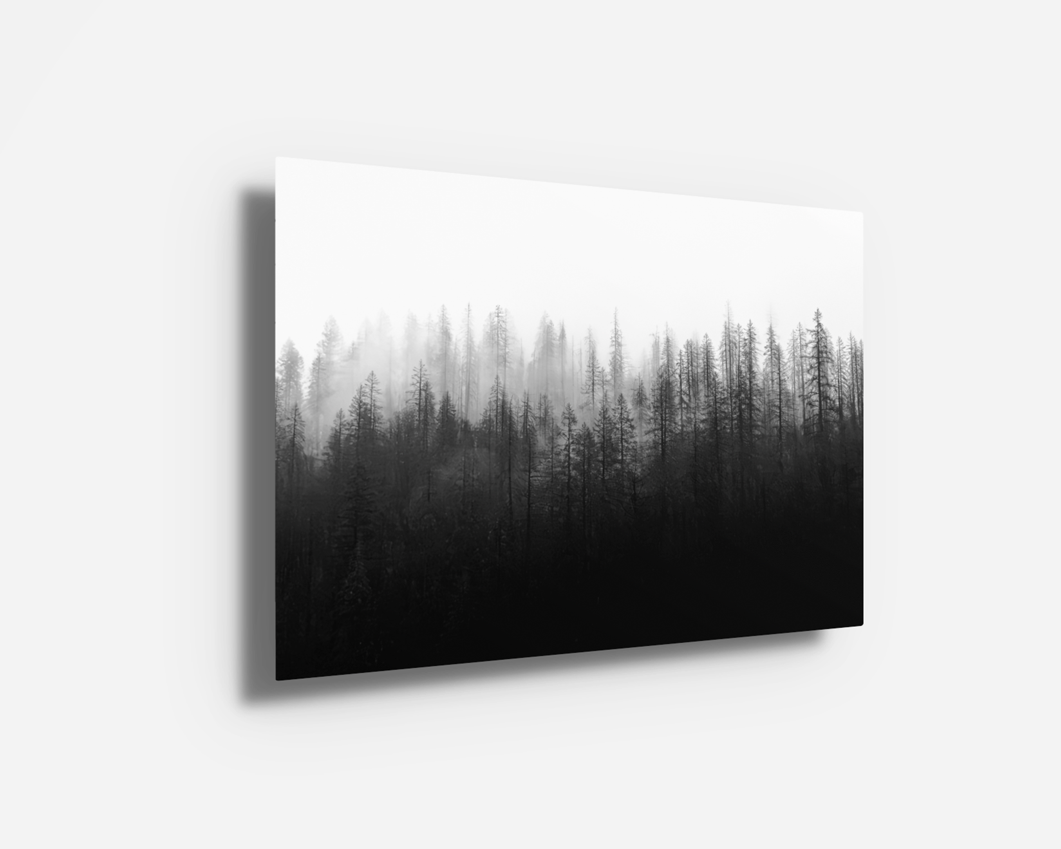 Metal print of “Ashen,” displaying fire-damaged trees in Oregon’s Hellgate Canyon. Stark and minimal nature photography in high contrast.